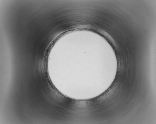 X0000115840828200911131104