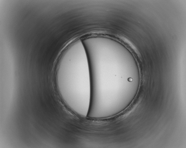 X0000115840829200911131104
