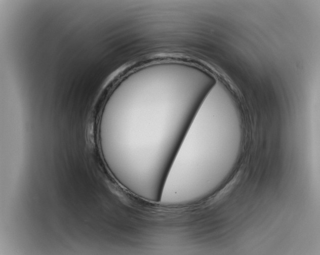 X0000115840830200911131104