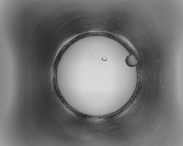 X0000115840831200911131104
