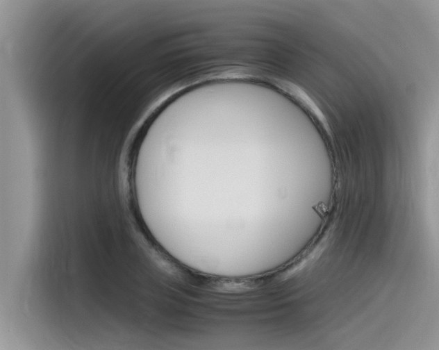 X0000115840835200911131105