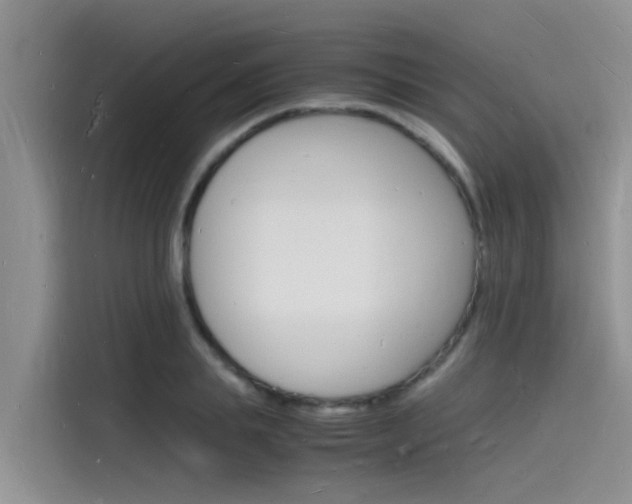 X0000115840839200911131105