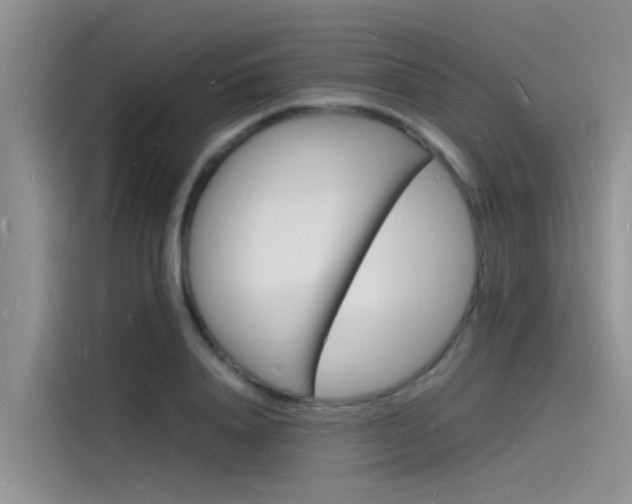 X0000115840840200911131105