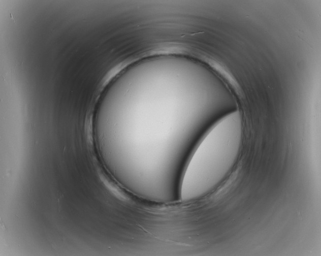 X0000115840842200911131105