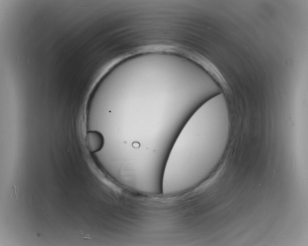 X0000115840844200911131105