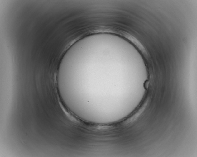 X0000115840849200911131105