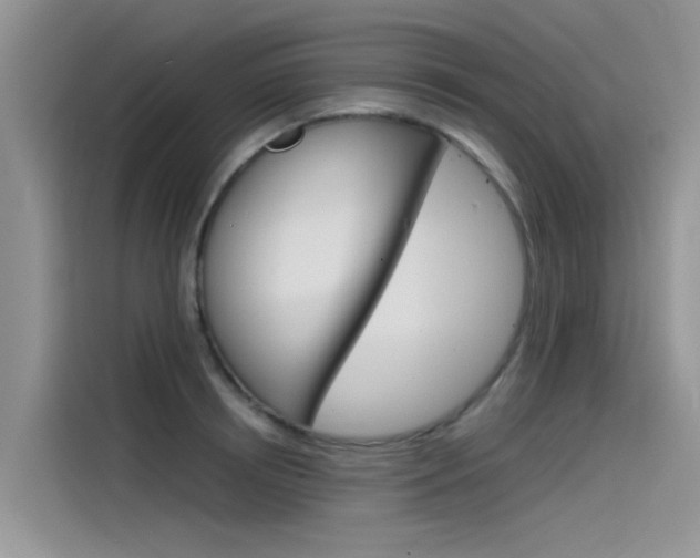X0000115840850200911131105