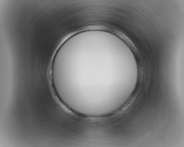 X0000115840852200911131105