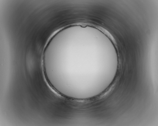 X0000115840855200911131105