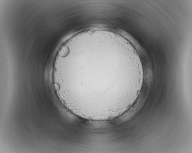 X0000115840856200911131105