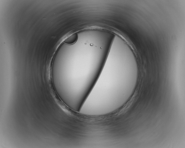 X0000115840858200911131105