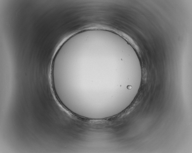 X0000115840863200911131105