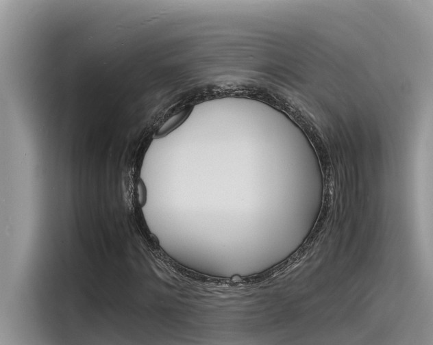 X0000115840868200911131104