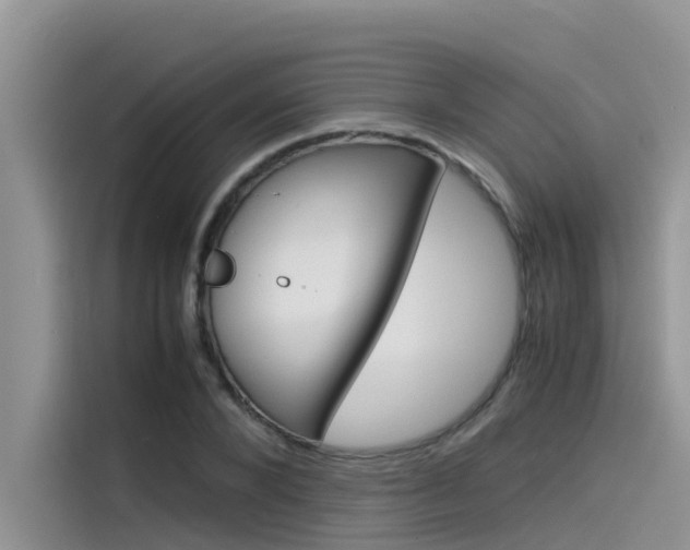 X0000115840880200911131104