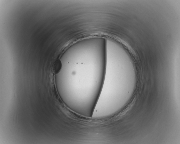 X0000115840881200911131104