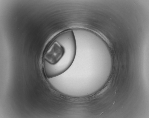 X0000115840885200911131104