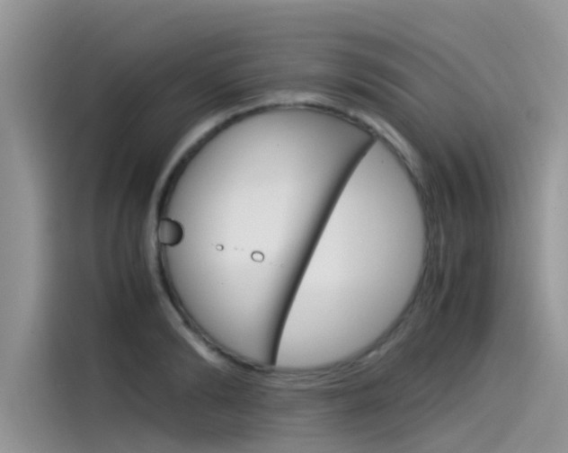 X0000115840894200911131104