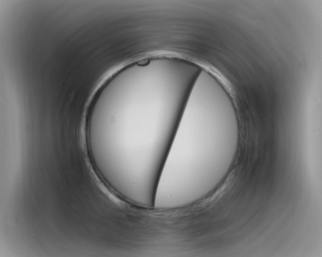X0000115840902200911131104