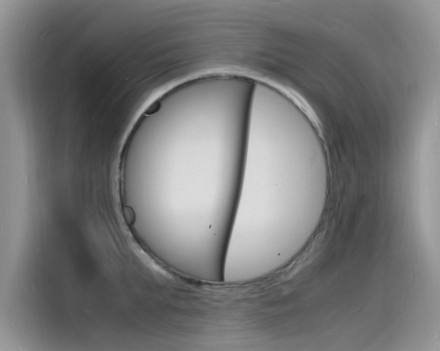 X0000115840903200911131104
