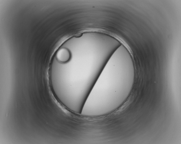 X0000115840906200911131104
