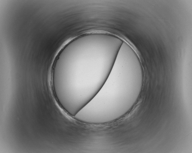 X0000115840909200911131104