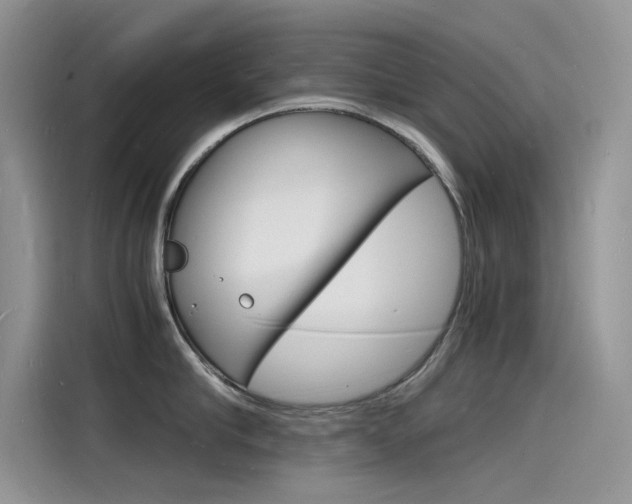 X0000115840910200911131104