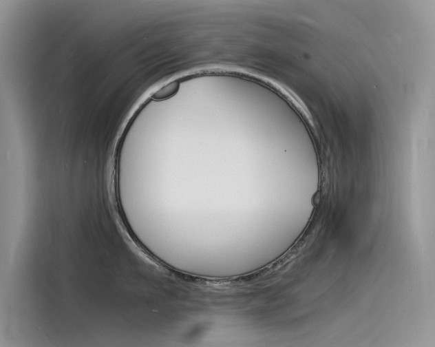 X0000115840911200911131104