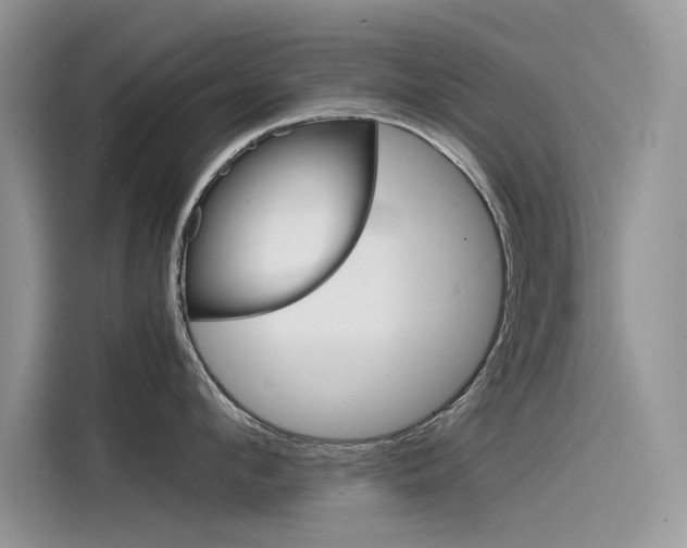 X0000115840912200911131104