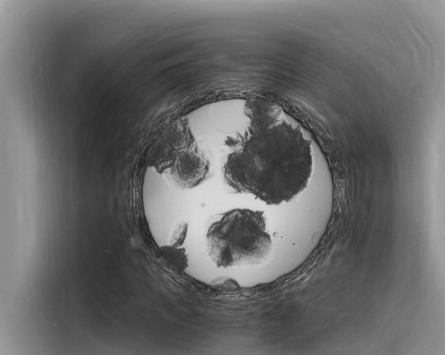 X0000115840917200911131103