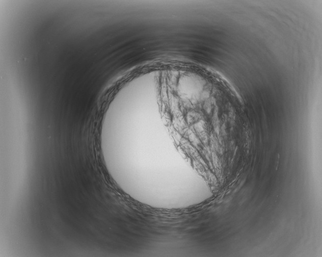 X0000115840919200911131103