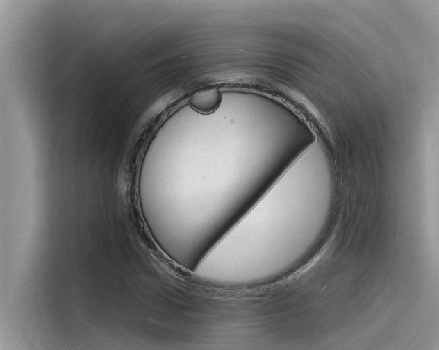 X0000115840922200911131103