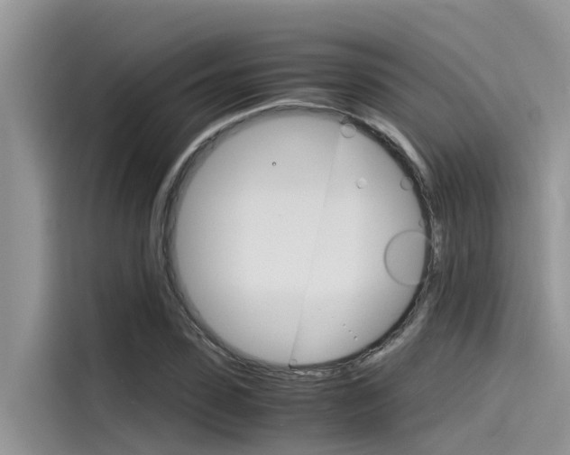 X0000115840923200911131103