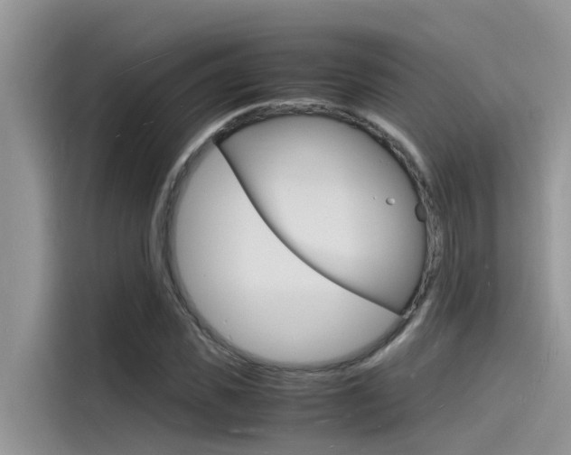 X0000115840925200911131103