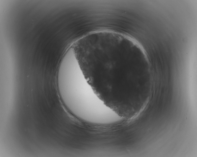 X0000115840937200911131103