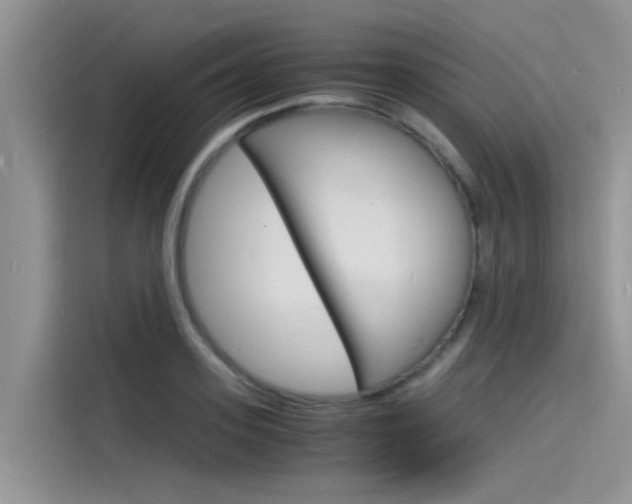 X0000115840939200911131103