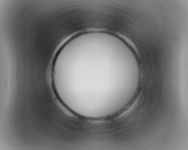 X0000115840941200911131103