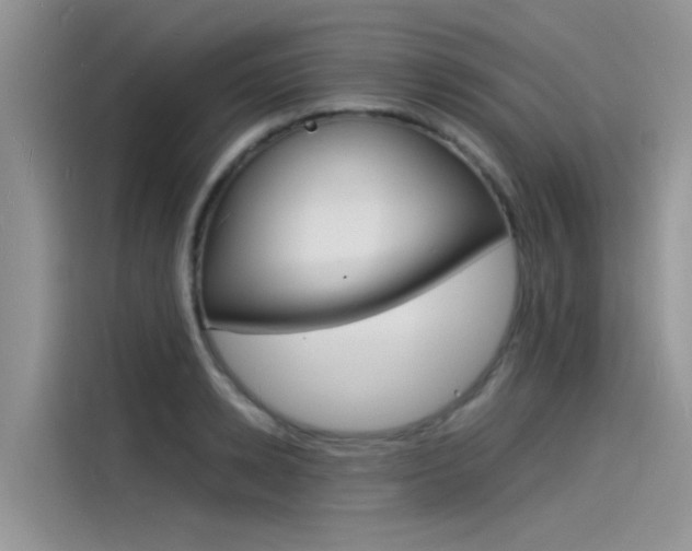 X0000115840942200911131103