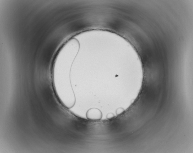 X0000115840950200911131104