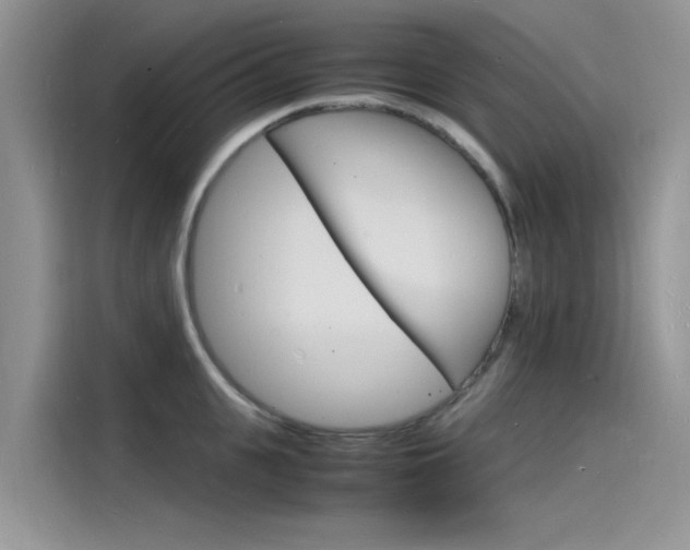 X0000115840951200911131104