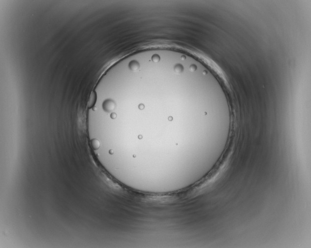 X0000115840953200911131104