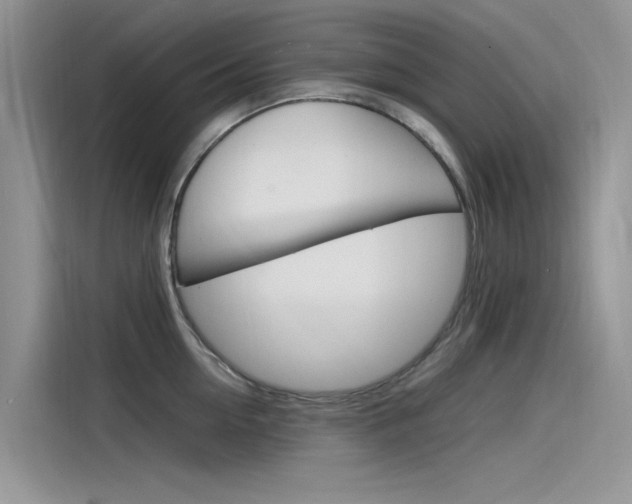 X0000115840954200911131104