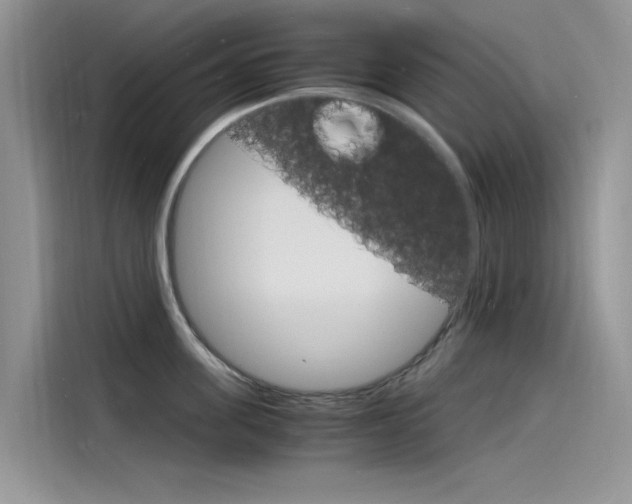 X0000115840955200911131104