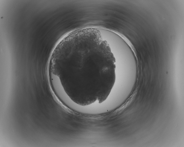 X0000115840957200911131104