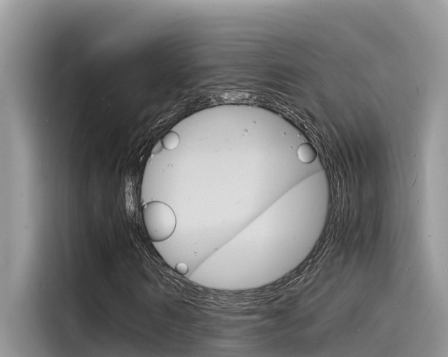 X0000115840962200911131103