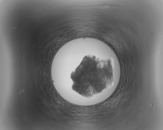 X0000115840963200911131103