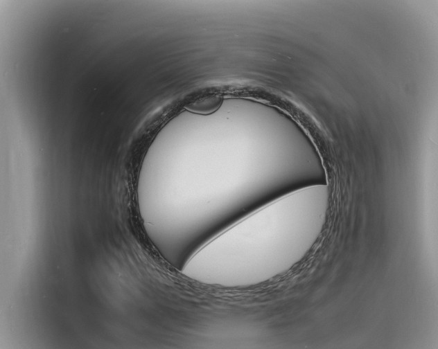X0000115840967200911131103