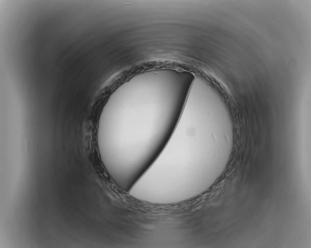 X0000115840968200911131103