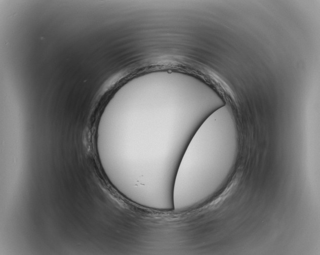 X0000115840970200911131103