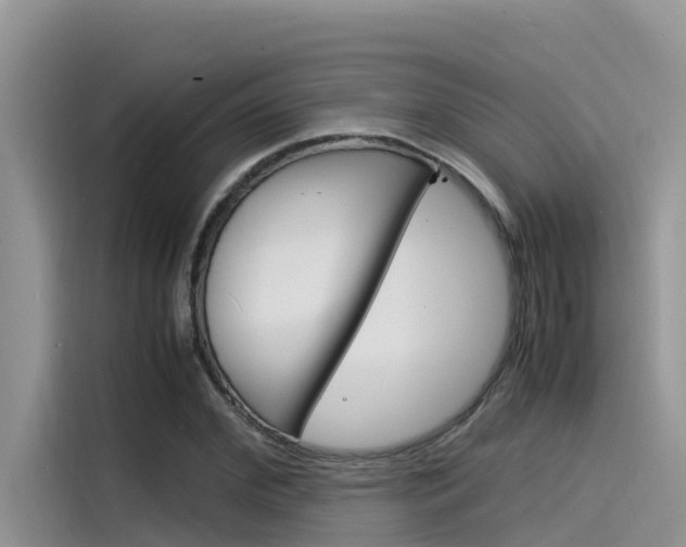 X0000115840972200911131103