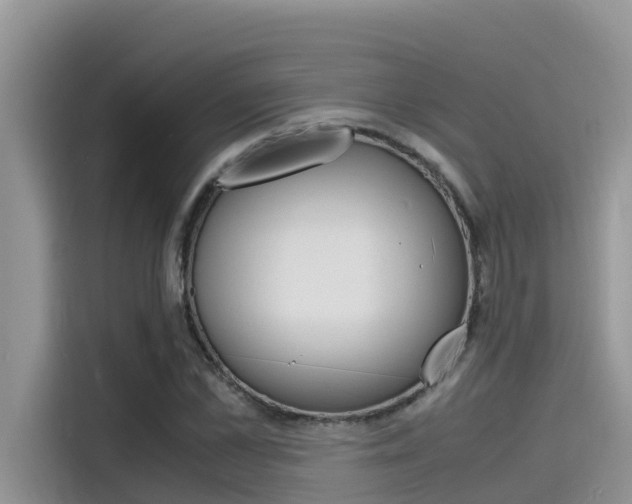 X0000115840973200911131103